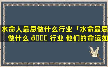 水命人最忌做什么行业「水命最忌做什么 🐝 行业 他们的命运如何」